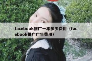 facebook推广一年多少费用（facebook推广广告费用）