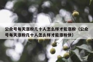 公众号每天涨粉几十人怎么样才能涨粉（公众号每天涨粉几十人怎么样才能涨粉快）