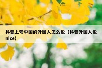 抖音上夸中国的外国人怎么说（抖音外国人说nice）