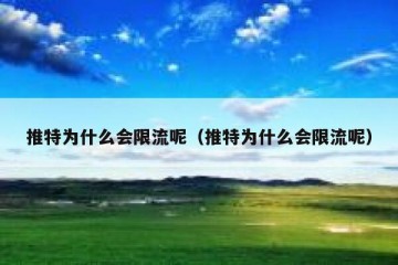 推特为什么会限流呢（推特为什么会限流呢）