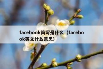 facebook简写是什么（facebook英文什么意思）