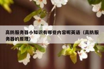 高防服务器小知识有哪些内容呢英语（高防服务器的原理）