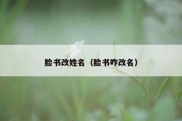 脸书改姓名（脸书咋改名）