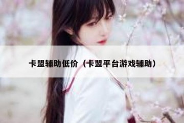 卡盟辅助低价（卡盟平台游戏辅助）