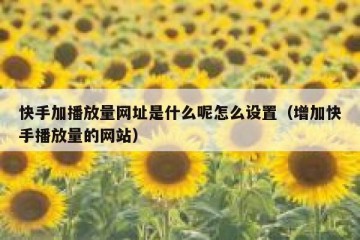 快手加播放量网址是什么呢怎么设置（增加快手播放量的网站）