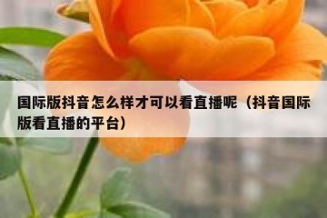 国际版抖音怎么样才可以看直播呢（抖音国际版看直播的平台）