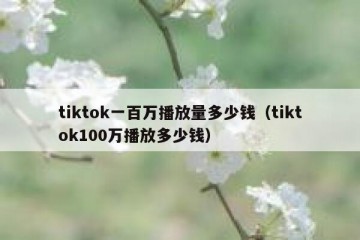tiktok一百万播放量多少钱（tiktok100万播放多少钱）