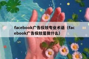 facebook广告投放专业术语（facebook广告投放是做什么）