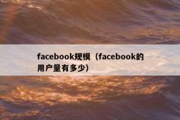 facebook规模（facebook的用户量有多少）