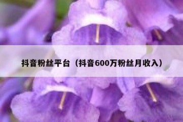 抖音粉丝平台（抖音600万粉丝月收入）