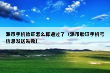 派币手机验证怎么算通过了（派币验证手机号信息发送失败）