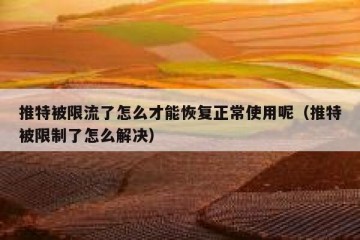 推特被限流了怎么才能恢复正常使用呢（推特被限制了怎么解决）