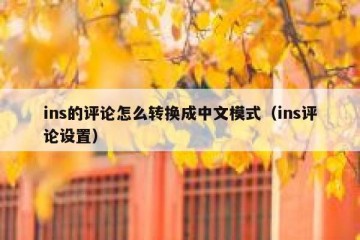 ins的评论怎么转换成中文模式（ins评论设置）