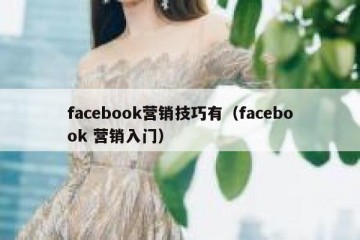 facebook营销技巧有（facebook 营销入门）