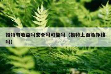 推特有收益吗安全吗可靠吗（推特上面能挣钱吗）