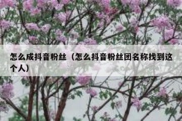 怎么成抖音粉丝（怎么抖音粉丝团名称找到这个人）