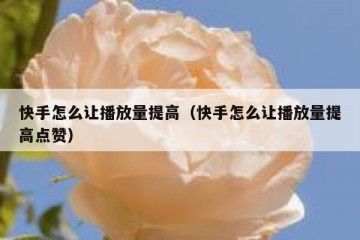 快手怎么让播放量提高（快手怎么让播放量提高点赞）