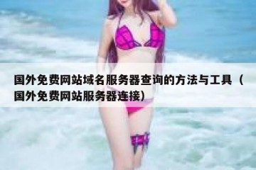 国外免费网站域名服务器查询的方法与工具（国外免费网站服务器连接）