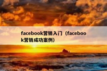 facebook营销入门（facebook营销成功案例）