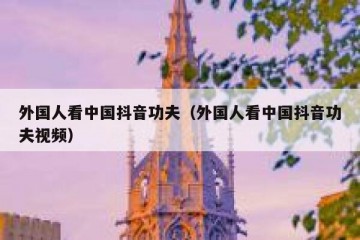 外国人看中国抖音功夫（外国人看中国抖音功夫视频）