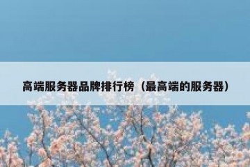 高端服务器品牌排行榜（最高端的服务器）