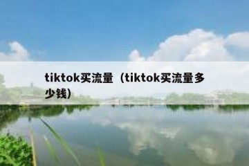 tiktok买流量（tiktok买流量多少钱）