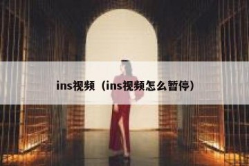 ins视频（ins视频怎么暂停）