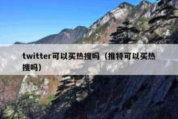 twitter可以买热搜吗（推特可以买热搜吗）