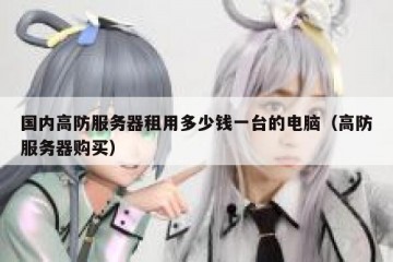 国内高防服务器租用多少钱一台的电脑（高防服务器购买）