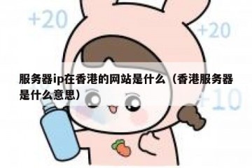 服务器ip在香港的网站是什么（香港服务器是什么意思）