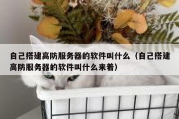 自己搭建高防服务器的软件叫什么（自己搭建高防服务器的软件叫什么来着）