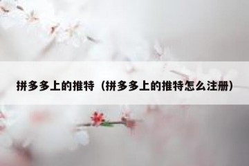 拼多多上的推特（拼多多上的推特怎么注册）