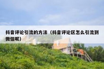 抖音评论引流的方法（抖音评论区怎么引流到微信呢）