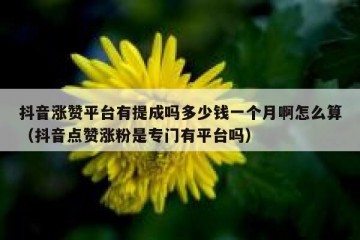 抖音涨赞平台有提成吗多少钱一个月啊怎么算（抖音点赞涨粉是专门有平台吗）