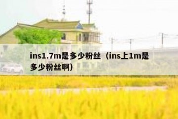 ins1.7m是多少粉丝（ins上1m是多少粉丝啊）