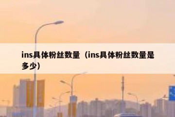 ins具体粉丝数量（ins具体粉丝数量是多少）
