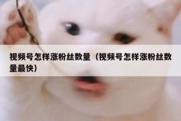 视频号怎样涨粉丝数量（视频号怎样涨粉丝数量最快）