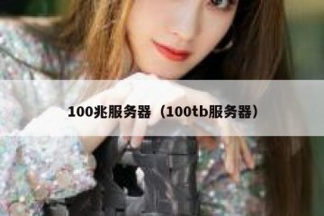 100兆服务器（100tb服务器）