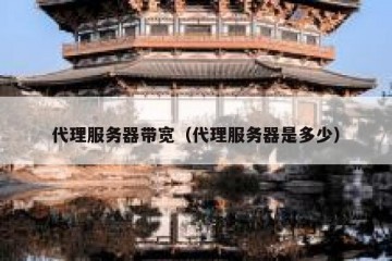 代理服务器带宽（代理服务器是多少）