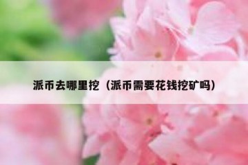 派币去哪里挖（派币需要花钱挖矿吗）