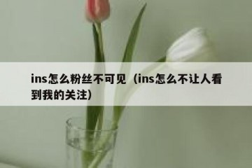 ins怎么粉丝不可见（ins怎么不让人看到我的关注）