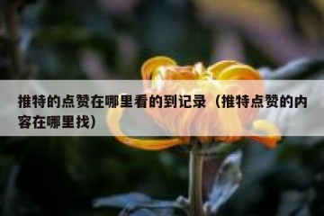 推特的点赞在哪里看的到记录（推特点赞的内容在哪里找）