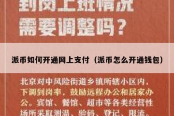 派币如何开通网上支付（派币怎么开通钱包）