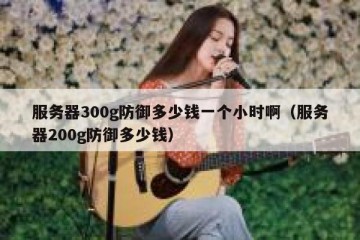 服务器300g防御多少钱一个小时啊（服务器200g防御多少钱）