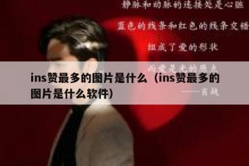 ins赞最多的图片是什么（ins赞最多的图片是什么软件）