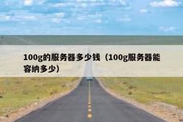 100g的服务器多少钱（100g服务器能容纳多少）