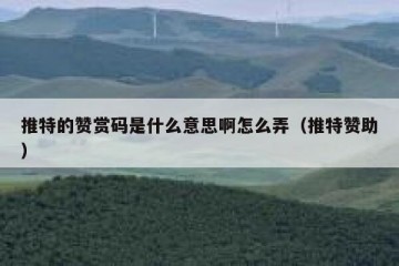 推特的赞赏码是什么意思啊怎么弄（推特赞助）