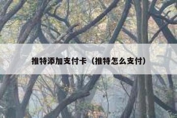 推特添加支付卡（推特怎么支付）