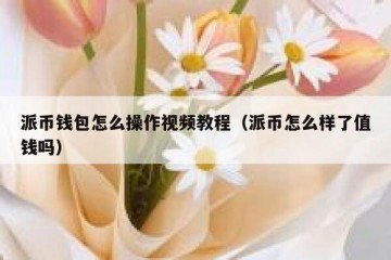 派币钱包怎么操作视频教程（派币怎么样了值钱吗）