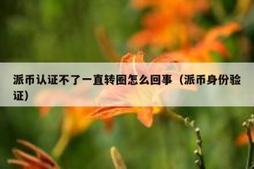 派币认证不了一直转圈怎么回事（派币身份验证）
